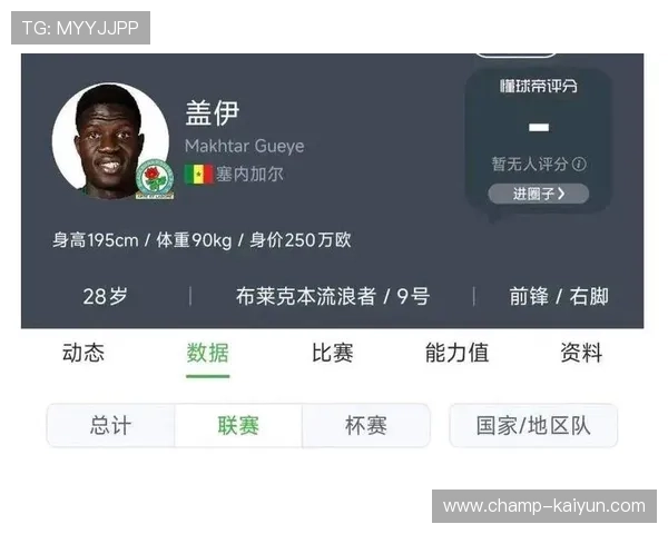 申花签下英冠中锋盖伊，身高1.95米空霸加持